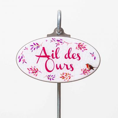 Ail des ours etiquette de jardin 1