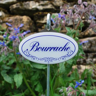 Bourrache