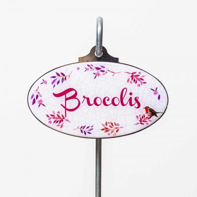 Brocolis marque plante potager 1