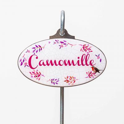Camomille