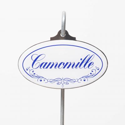 Camomille