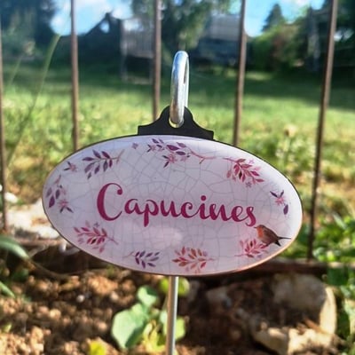 Capucines etiquettes de jardinage