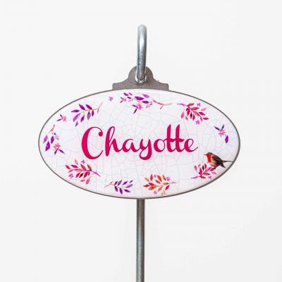 Chayotte