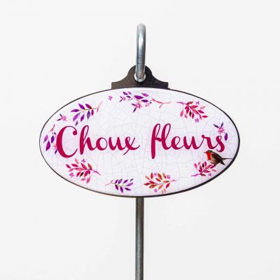 Choux fleurs
