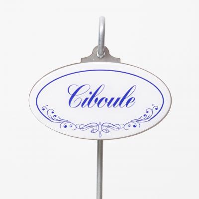 Ciboule