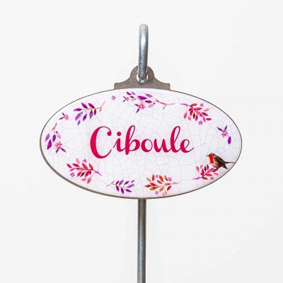 Ciboule