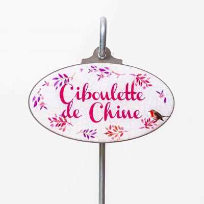 Ciboulette de Chine