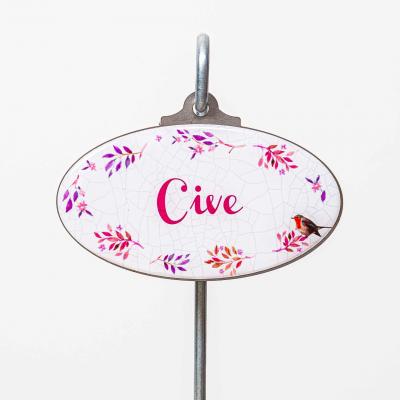 Cive