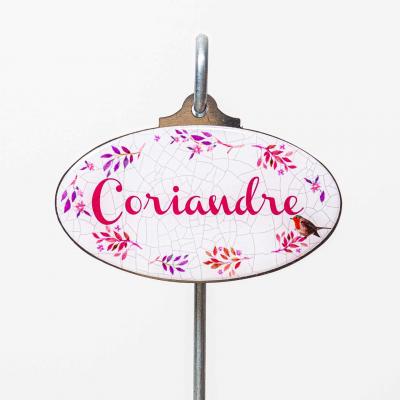 Coriandre