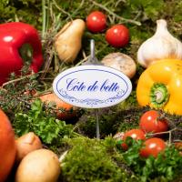 Cote de bette etiquette pour jardin potager 1