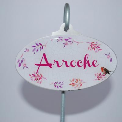 Arroche