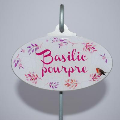 Basilic pourpre