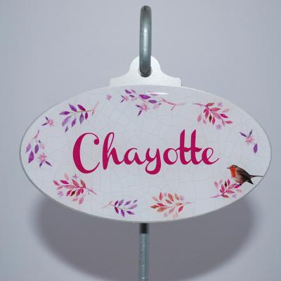 Chayotte