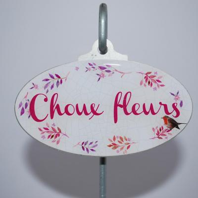 Choux fleurs