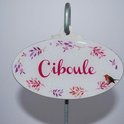 Ciboule