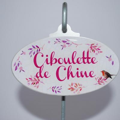 Ciboulette de Chine