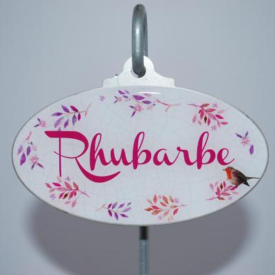 Rhubarbe