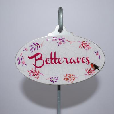 Betteraves