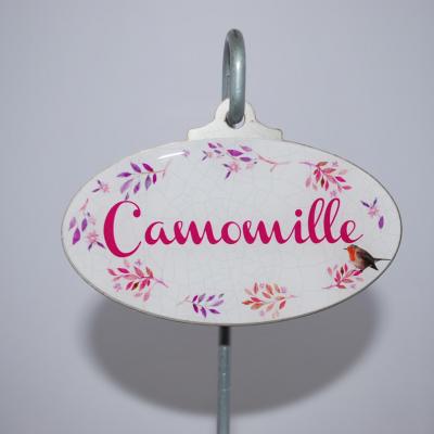 Camomille