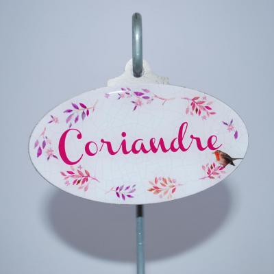 Coriandre