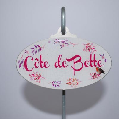 Côte de bette