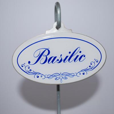 Basilic
