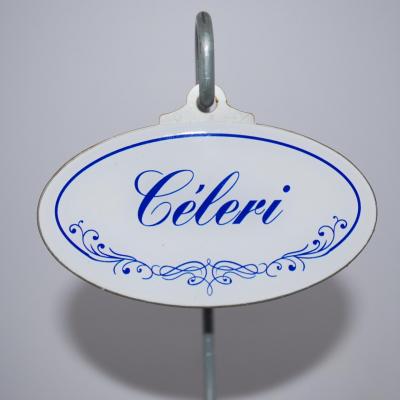 Céleri