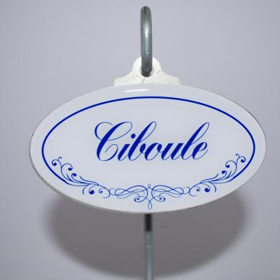 Ciboule