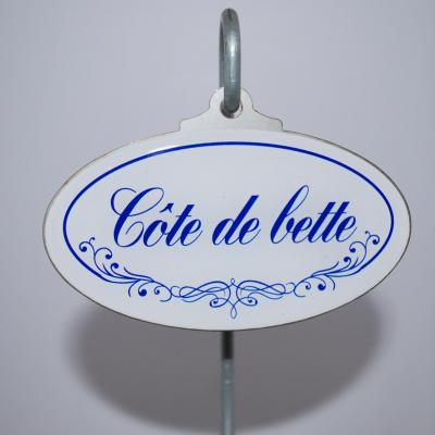 Côte de bette