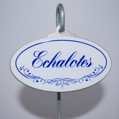 Echalotes
