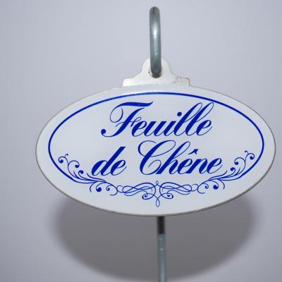 Feuille de chêne