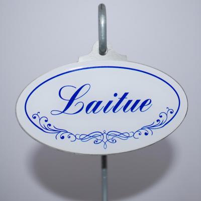 Laitue