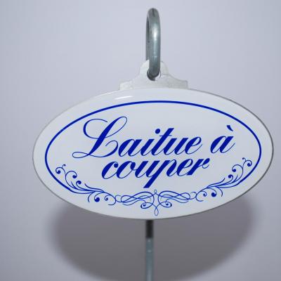 Laitue à couper