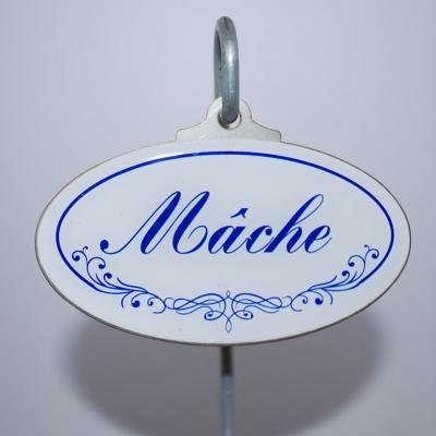 Mâche