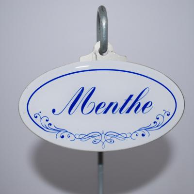 Menthe