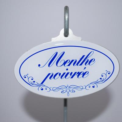 Menthe poivrée