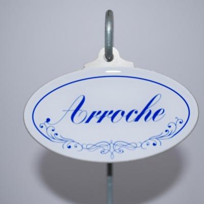 Arroche