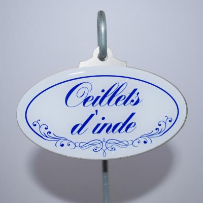 Oeillets d'inde