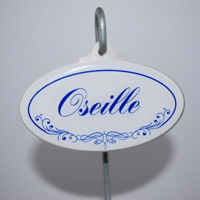 Oseille