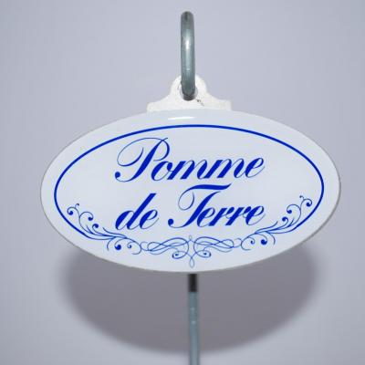 Pomme de terre