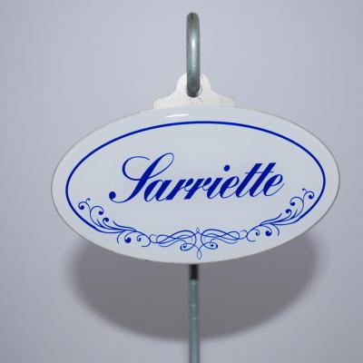 Sarriette