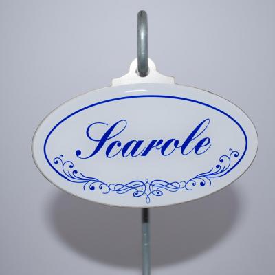 Scarole