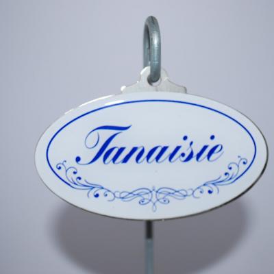 Tanaisie