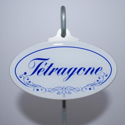 Tétragone