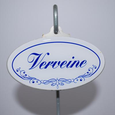 Verveine marque plante