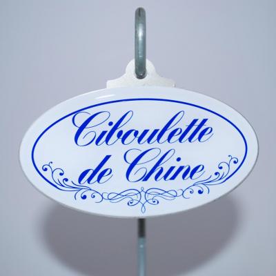 Ciboulette de Chine