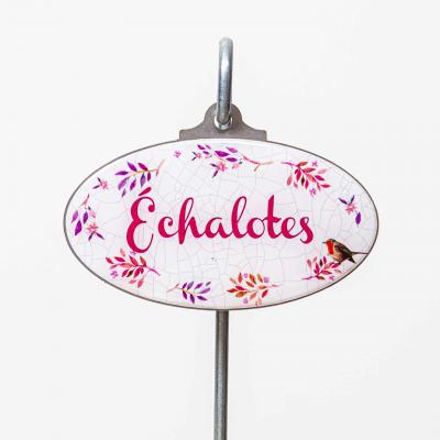 Echalotes