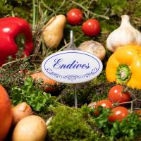 Endives etiquette pour jardin potager 1