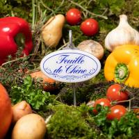 Feuille de chene etiquette pour jardin potager 1