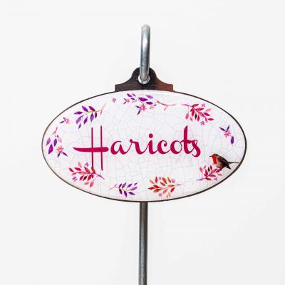 Haricots